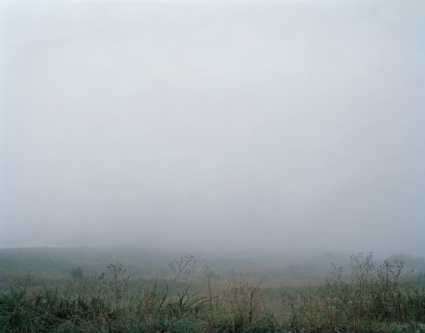 Into the Fog