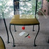 Toy