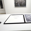 Installation at Daniel Cooney Fine Art 
January 6 - February 12, 2011