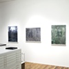 Installation at Daniel Cooney Fine Art 
January 6 - February 12, 2011