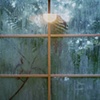 Clyde's Kitchen Window, Athens, GA