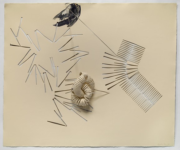 two intertwined torus forms - another one found in physics - in the collection of the DC Art Bank