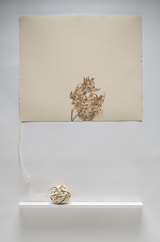 in a private collection