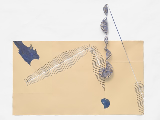 drawing of a blue macaw birdskin, made while in residence at the Museum of Natural History