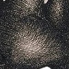 Untitled #12