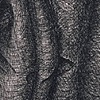 Untitled #18 