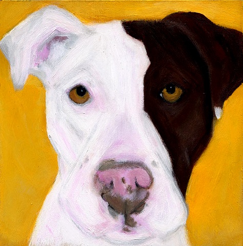 original pit bull dog art portrait painting 