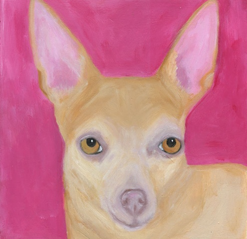Bella Chihuahua custom dog portait painting by Leigh Jackson