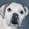 Annabelle
American Bulldog