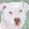 Mala Original Pit Bull Painting