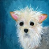  Dog Portraits Archive