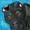 A1568008 Original Pit Bull Mix Painting