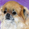 Oscar