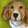 Squirrel Patrol
Beagle
