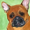 All Toys are Mine
French Bulldog