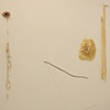 The Remains