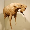 The Remains