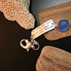 Compass Collection -