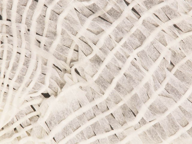 Documented Disability (Detail)