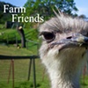Farm Friends