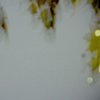 rapture series