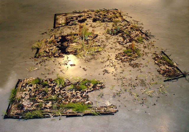 Rug with Grass