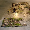Rug with Grass