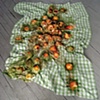 Exploded Peaches on Picnic Blanket