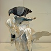 Pompeii Pigeons