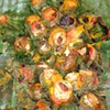 Exploded Peaches on Picnic Blanket