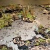 Rug with Grass