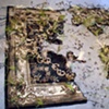 Rug with Grass