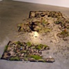 Rug with Grass