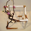 Open cube with flowers