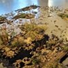 Rug with Grass