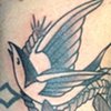 Swallows and Anchor