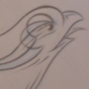 QUAIL