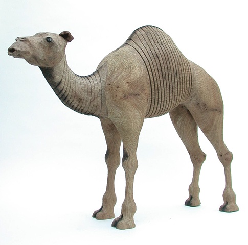 camel
