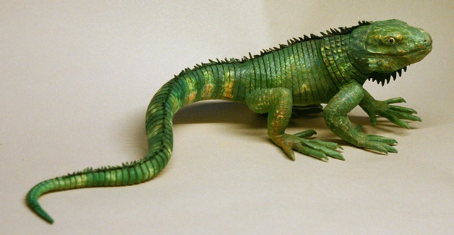 iguana 