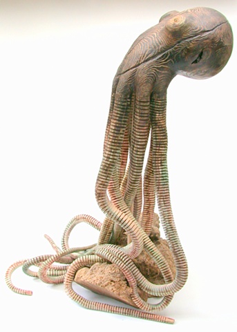 octopus