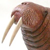 walrus