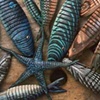 small articulating fish and seastar