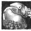 drawings, paintings and graphics