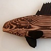 giant sea bass