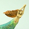 little mermaid