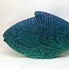 napoleon wrasse
