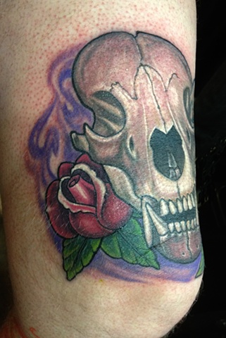 bear skull