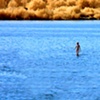 2011 Images