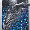  "Dive"  SOLD
