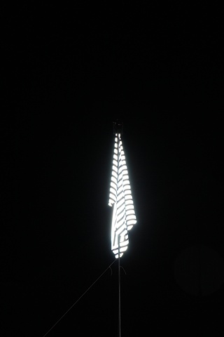 Emergency Flag